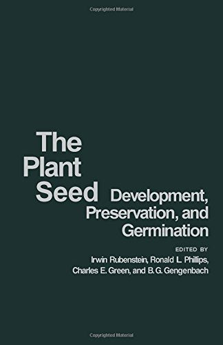 The plant seed
