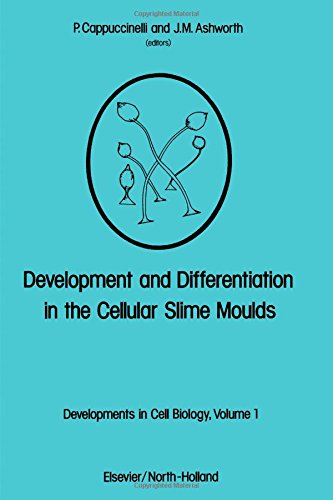Development and differentiation in the cellular slime moulds: Proceedings of the international workshop held at Porto Conte