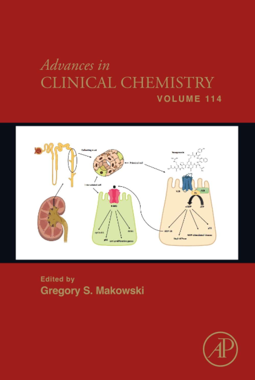 Advances in Clinical Chemistry (Volume 114)