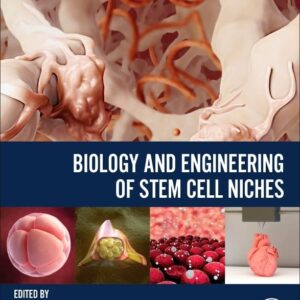Biology and Engineering of Stem Cell Niches