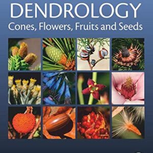 Dendrology: Cones