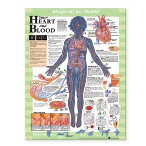 Blueprint for Health Your Heart and Blood Chart-ISBN: 9781587797453