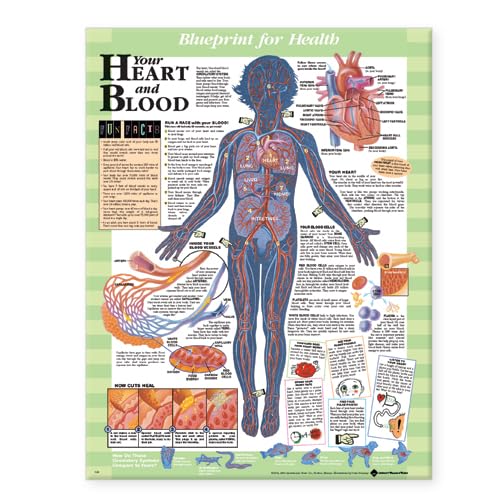Blueprint for Health Your Heart and Blood Chart-ISBN: 9781587797453