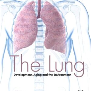 The Lung: Development