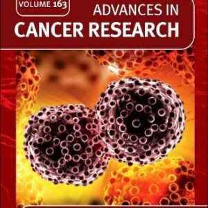 Cutting Edge Artificial Intelligence