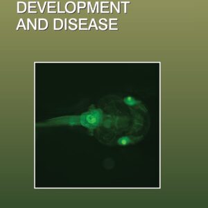 Amphibian Models of Development and Disease (Volume 145) (Current Topics in Developmental Biology