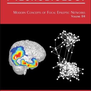 Modern Concepts of Focal Epileptic Networks (Volume 114) (International Review of Neurobiology