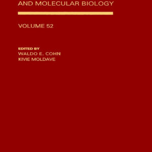 Models of Seizures and Epilepsy