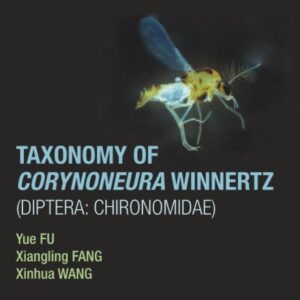Taxonomy of Corynoneura Winnertz (Diptera: Chironomidae)
