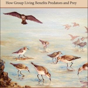Social Predation: How Group Living Benefits Predators and Prey