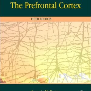 The Prefrontal Cortex