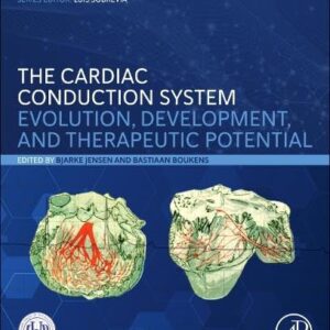 The Cardiac Conduction System: Evolution