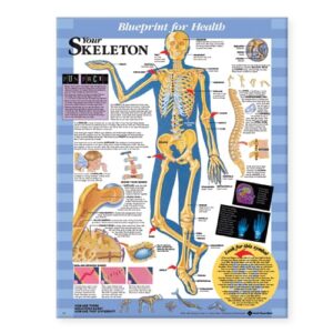 Blueprint for Health Your Skeleton Chart-ISBN: 9781587797354