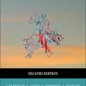 Human Chorionic Gonadotropin (hCG)