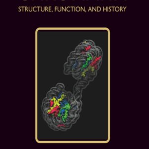 Chromatin: Structure