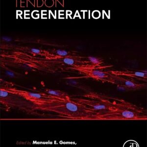 Tendon Regeneration: Understanding Tissue Physiology and Development to Engineer Functional Substitutes