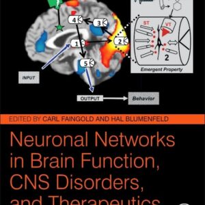 Neuronal Networks in Brain Function