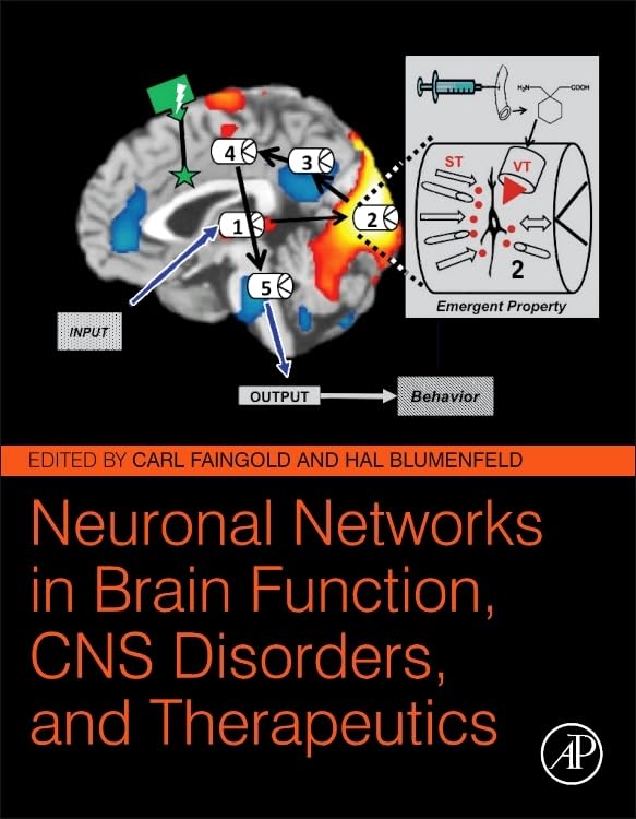 Neuronal Networks in Brain Function