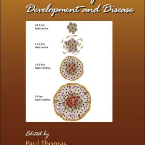 Endocrine Gland Development and Disease (Volume 106) (Current Topics in Developmental Biology