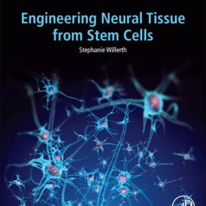 Engineering Neural Tissue from Stem Cells