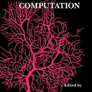 Single Neuron Computation (Neural Networks: Foundations to Applications)