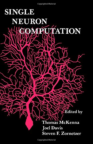 Single Neuron Computation (Neural Networks: Foundations to Applications)