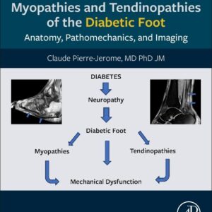 Myopathies and Tendinopathies of the Diabetic Foot: Anatomy