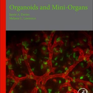 Organoids and Mini-Organs