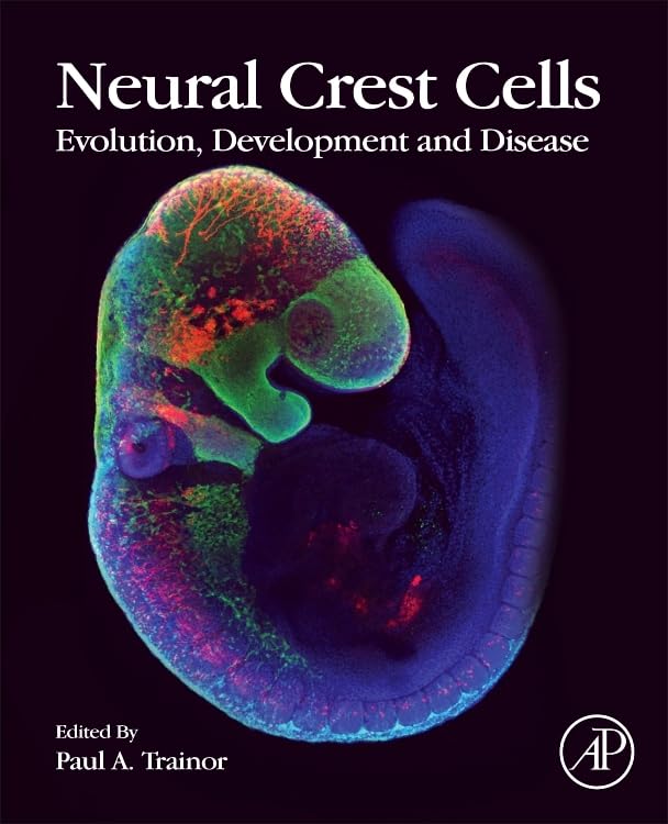 Neural Crest Cells: Evolution