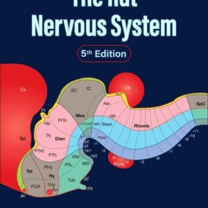 The Rat Nervous System