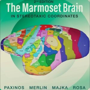The Marmoset Brain in Stereotaxic Coordinates