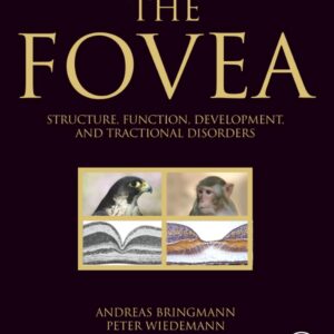 The Fovea: Structure