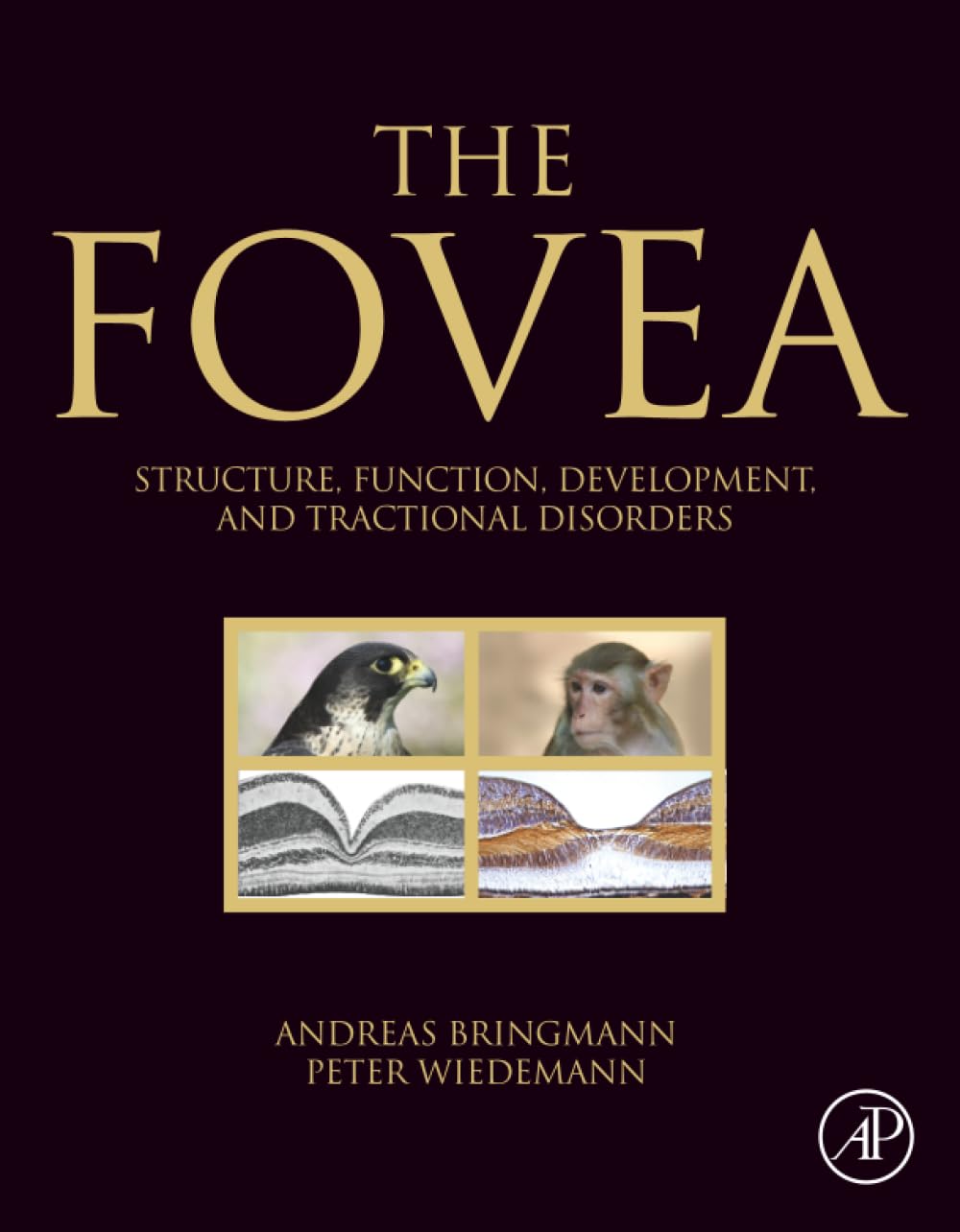The Fovea: Structure