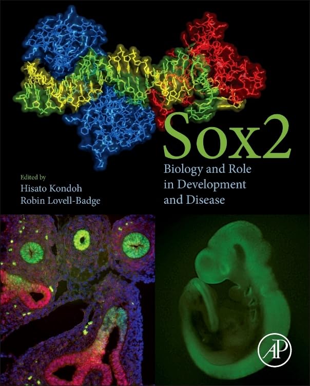 Sox2: Biology and Role in Development and Disease