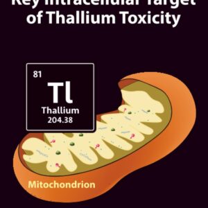 Mitochondria as a Key Intracellular Target of Thallium Toxicity