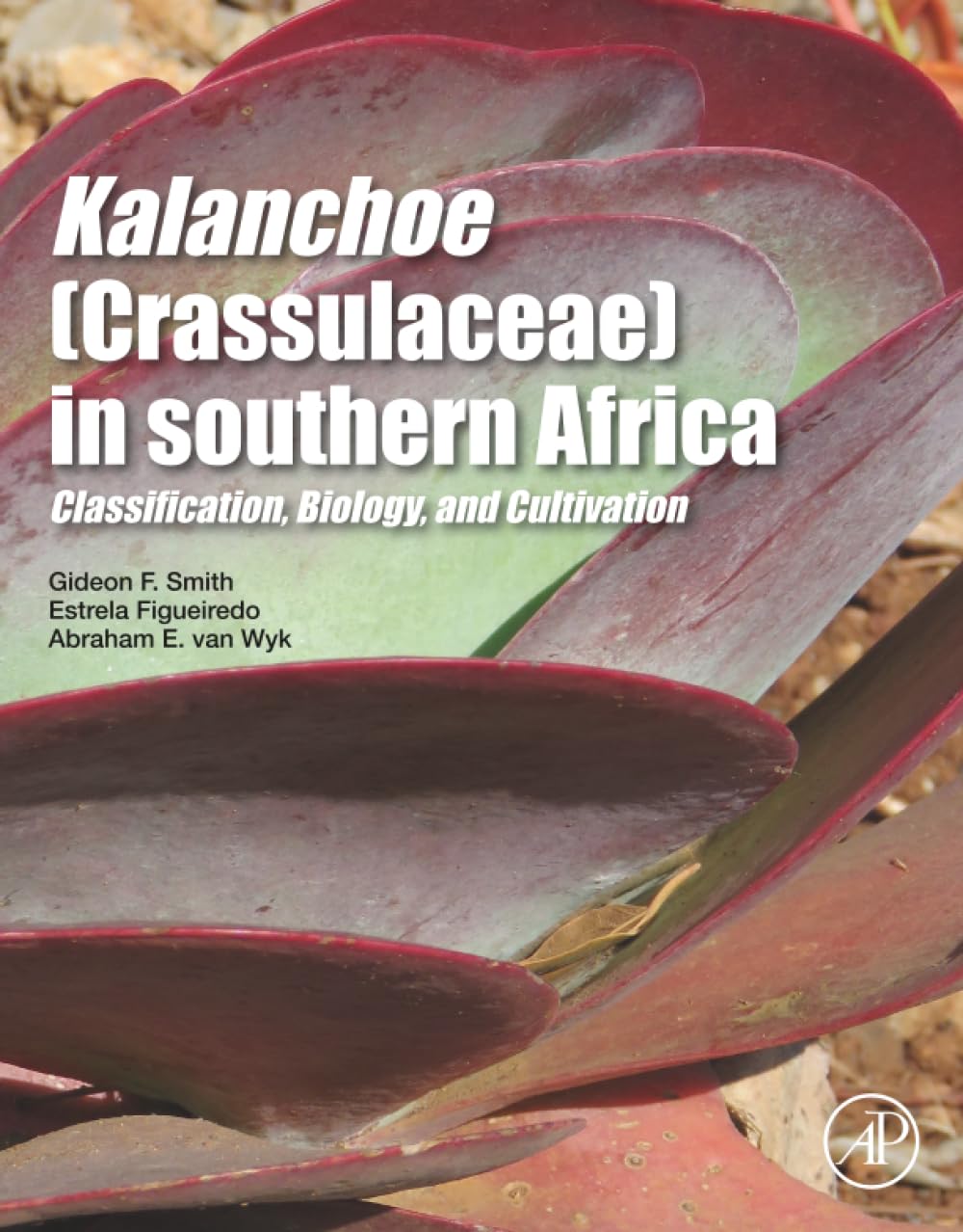 Kalanchoe (Crassulaceae) in Southern Africa: Classification