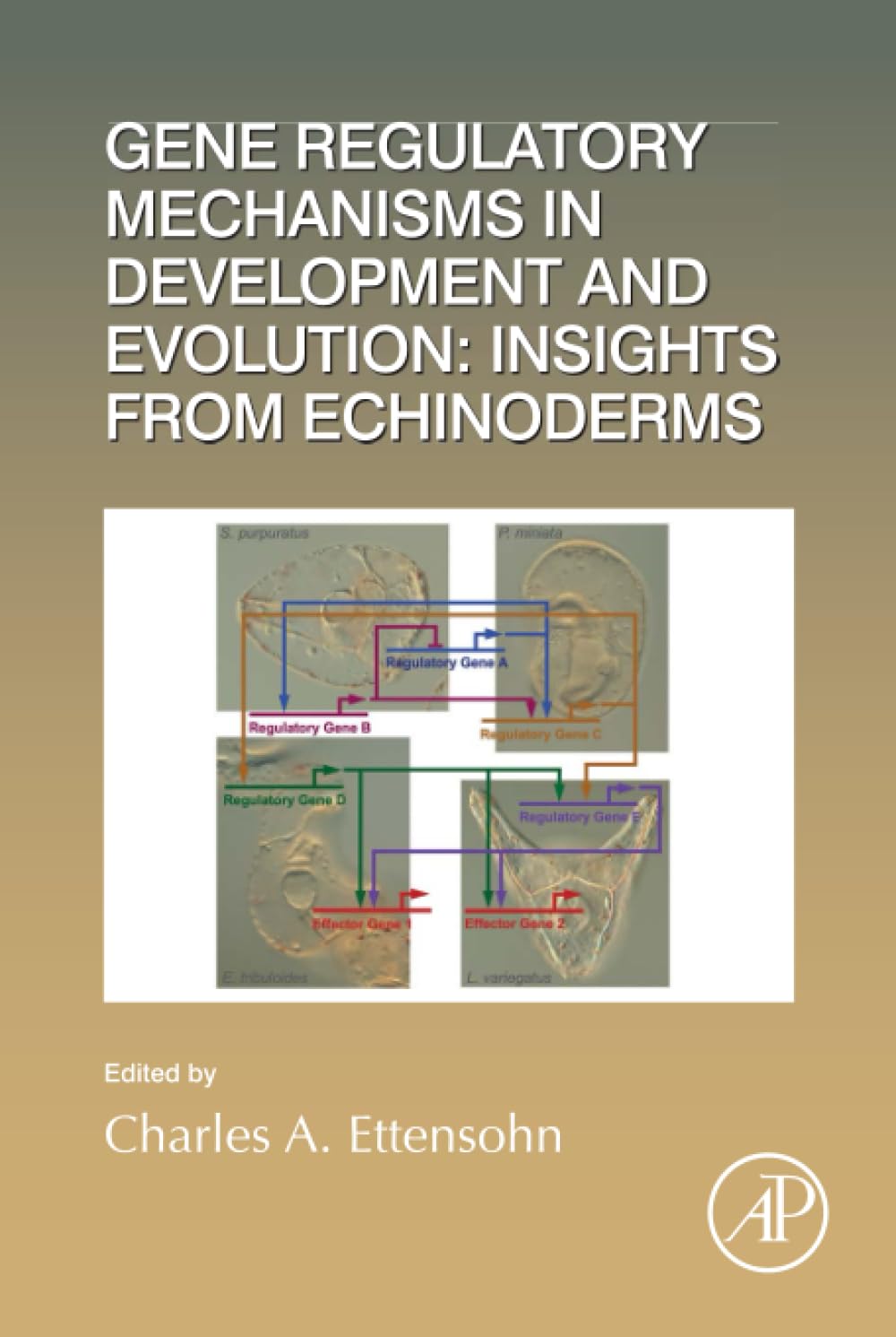 Gene Regulatory Mechanisms in Development and Evolution: Insights from Echinoderms (Volume 146) (Current Topics in Developmental Biology
