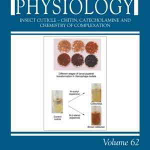 Insect cuticle – Chitin