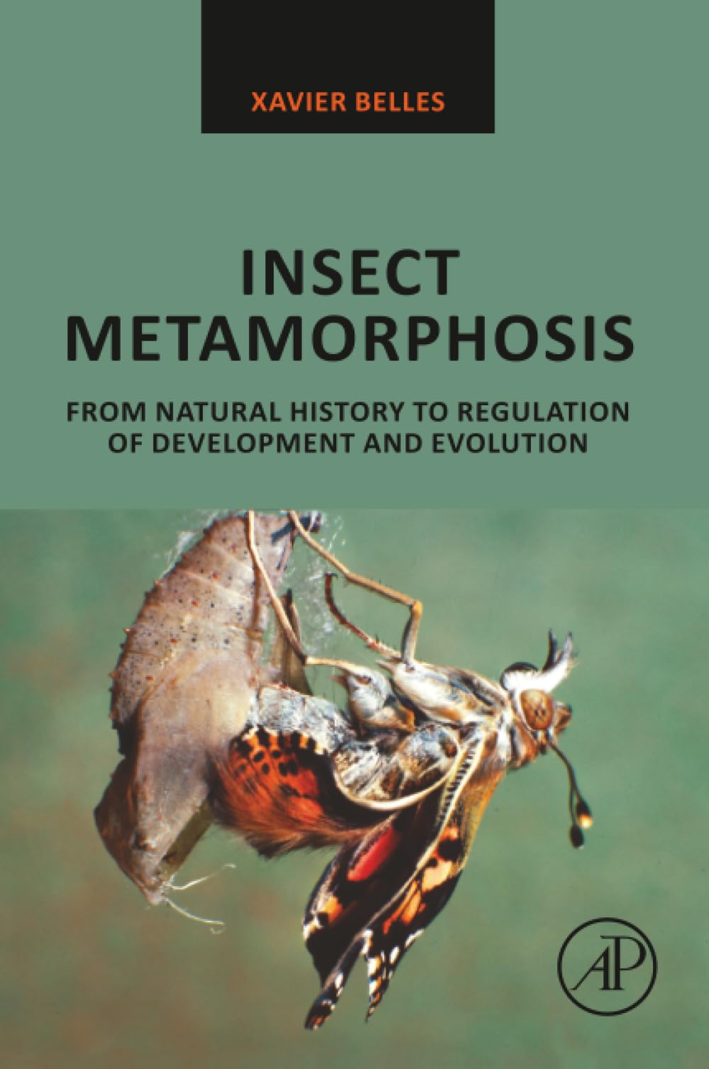 Insect Metamorphosis: From Natural History to Regulation of Development and Evolution