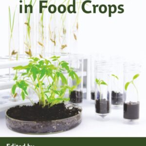 Plant Small RNA in Food Crops