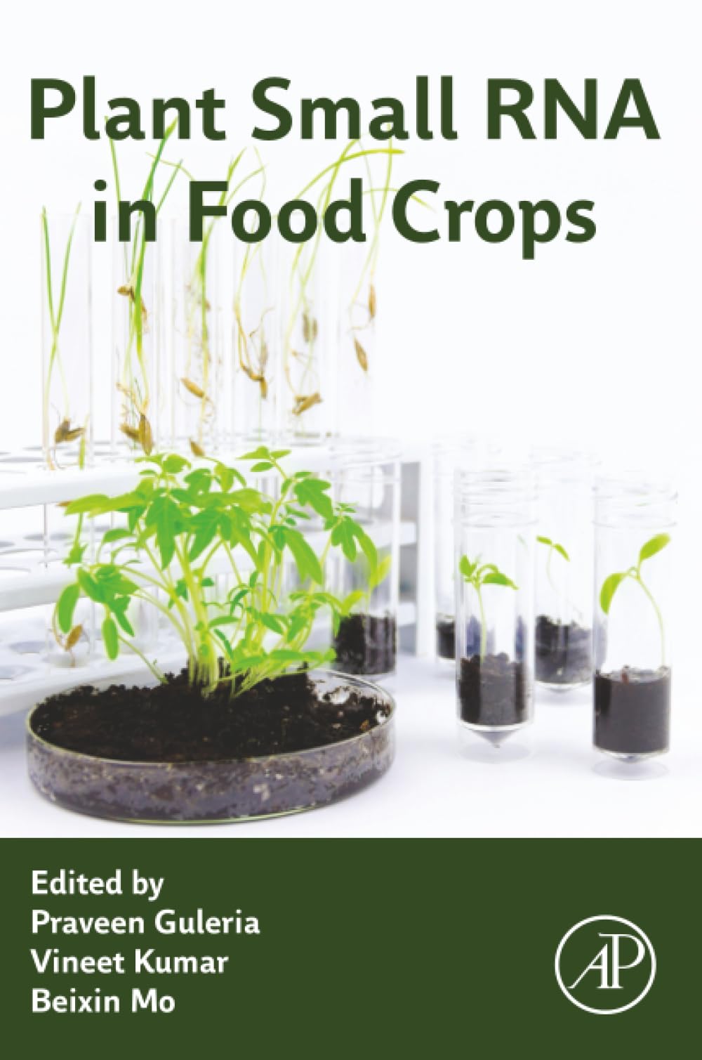Plant Small RNA in Food Crops