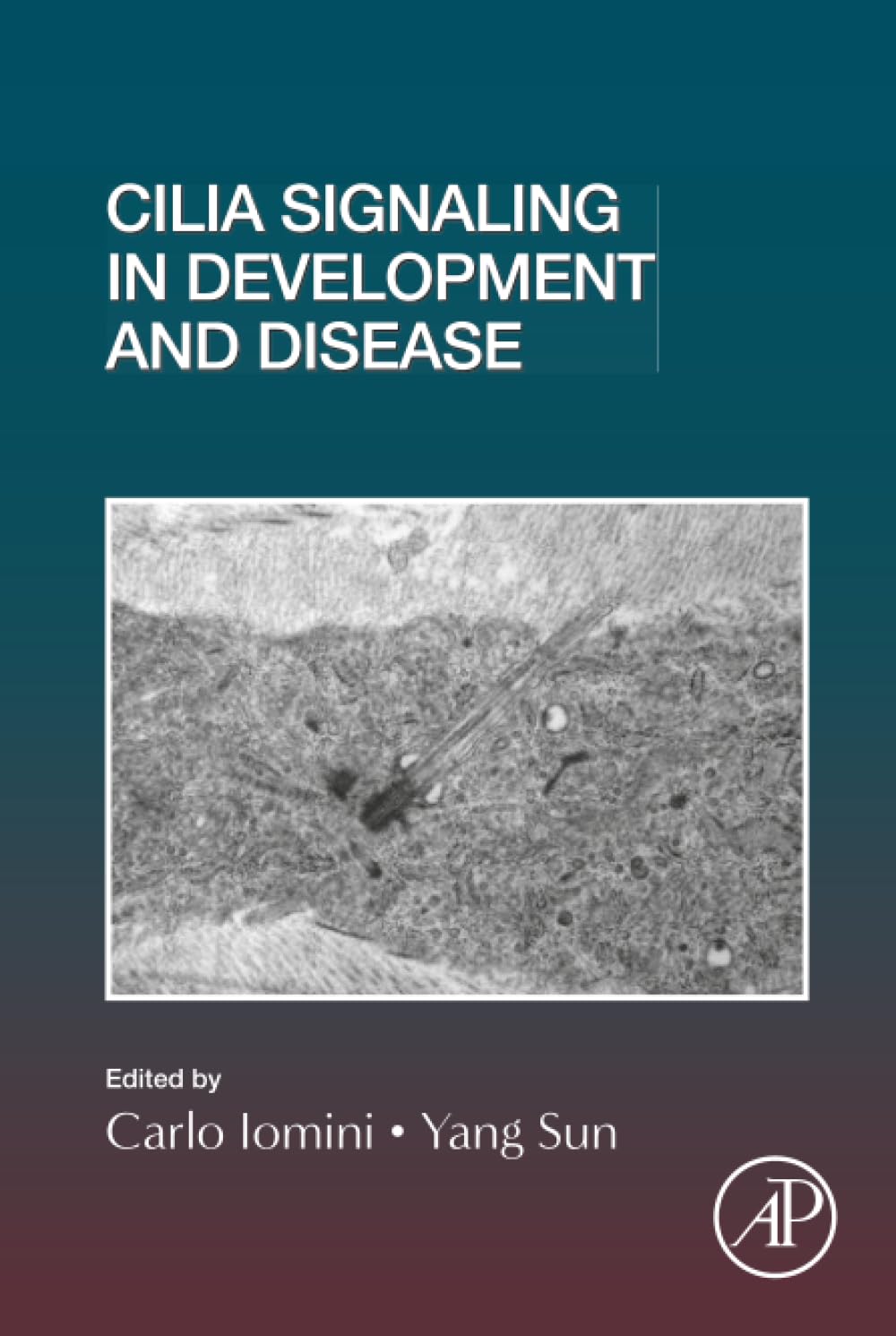 Cilia Signaling in Development and Disease (Volume 155) (Current Topics in Developmental Biology