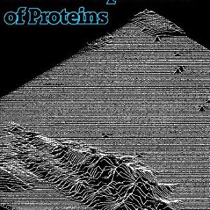 Gel Electrophoresis of Proteins
