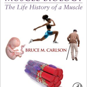 Muscle Biology: The Life History of a Muscle