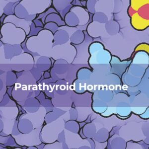 Parathyroid Hormone (Volume 120) (Vitamins and Hormones