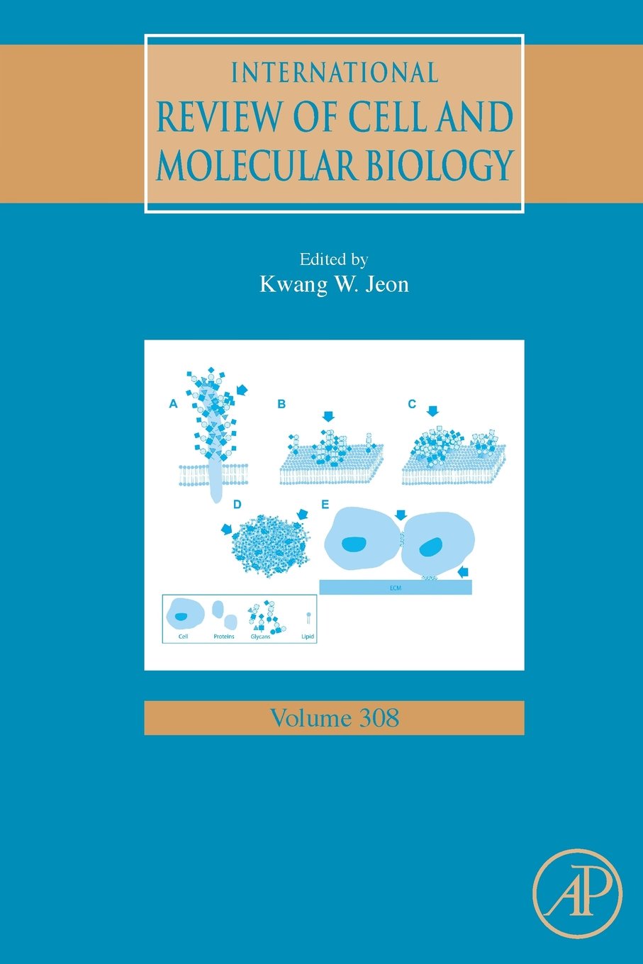 International Review of Cell and Molecular Biology (Volume 308)
