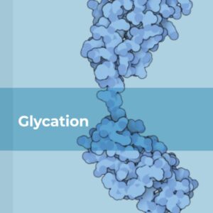 Glycation (Volume 125) (Vitamins and Hormones
