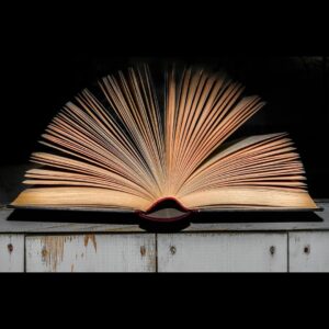 Medical and Veterinary Entomology