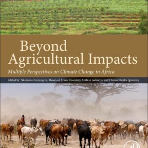 Beyond Agricultural Impacts: Multiple Perspectives on Climate Change and Agriculture in Africa