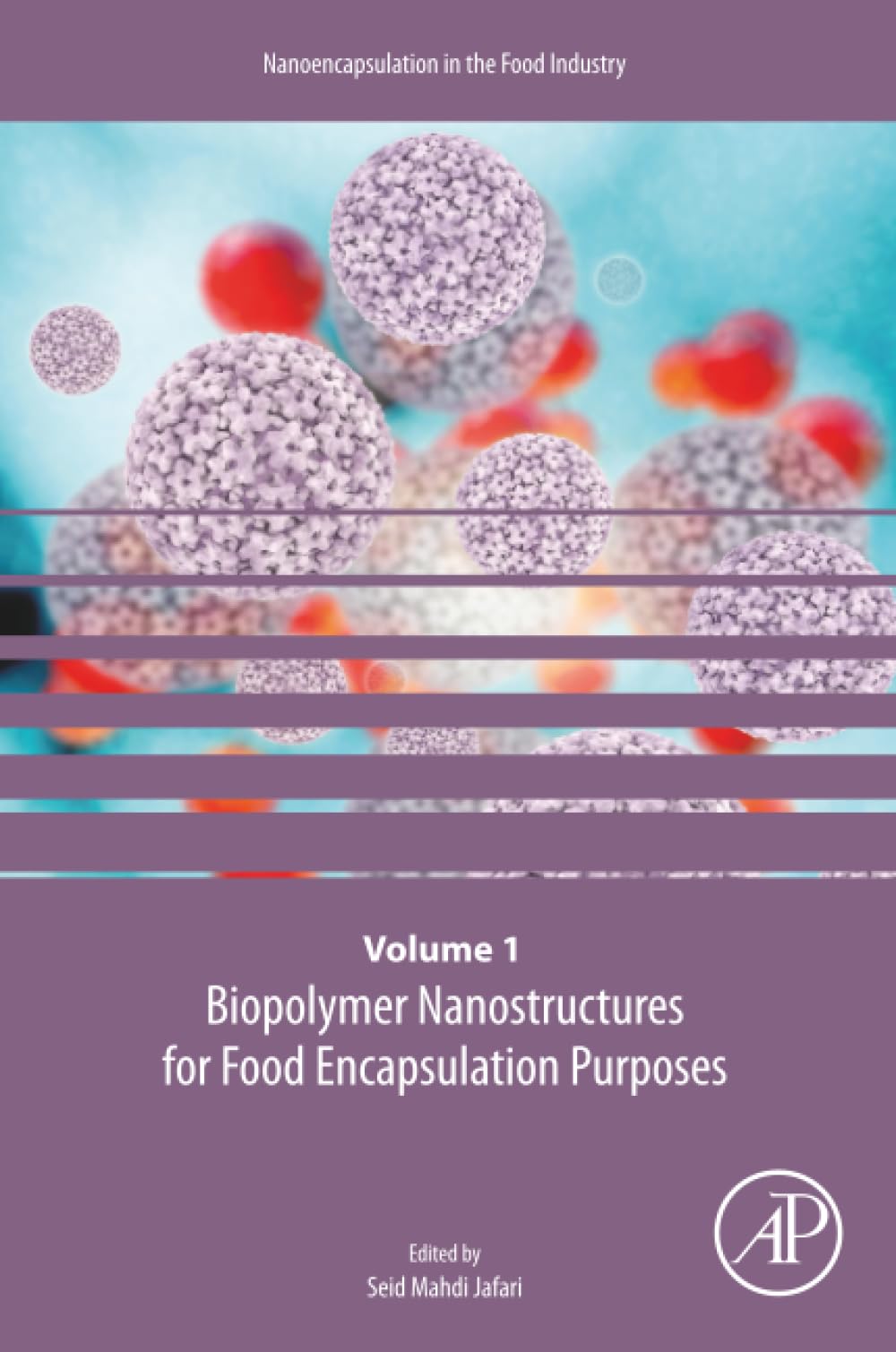 Biopolymer Nanostructures for Food Encapsulation Purposes: Volume 1 in the Nanoencapsulation in the Food Industry series (Volume 1)